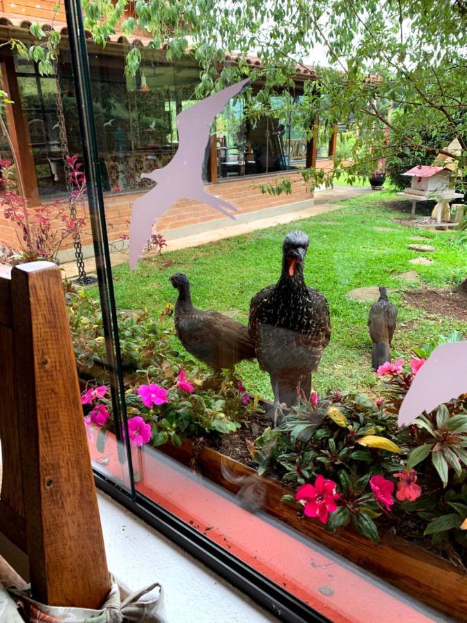 Aconchegante Casa Em Monte Verde Monte Verde  Buitenkant foto
