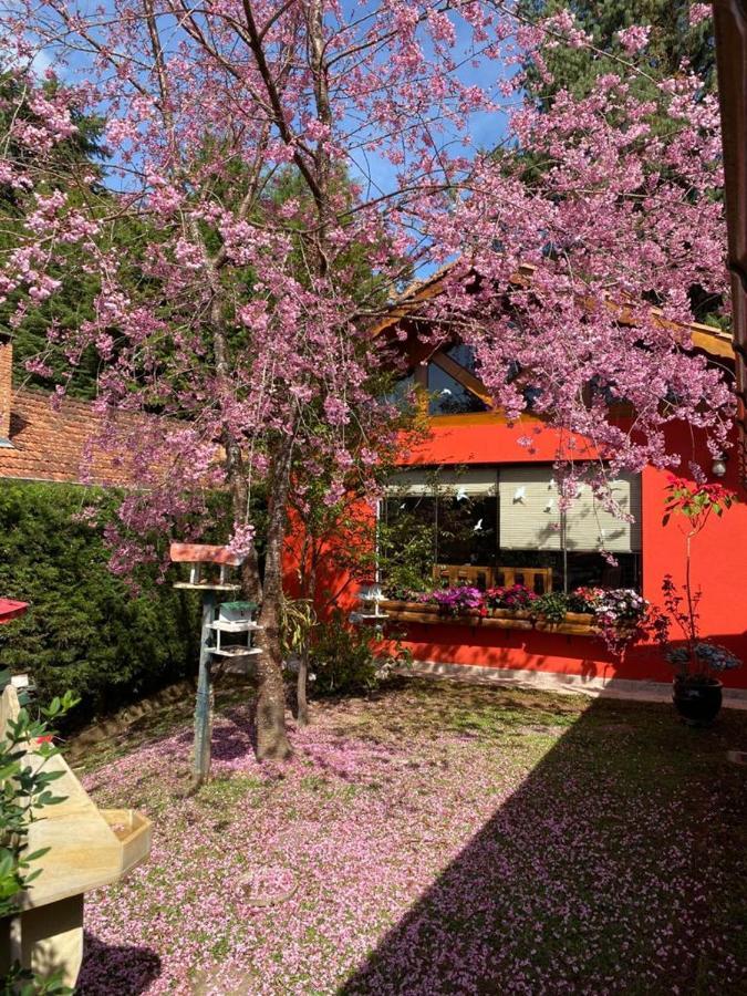 Aconchegante Casa Em Monte Verde Monte Verde  Buitenkant foto